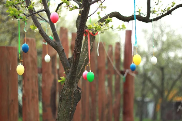 Decoração de Páscoa fora no jardim — Fotografia de Stock