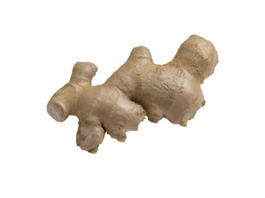 Beyaz arkaplanda izole edilmiş bir kızıl