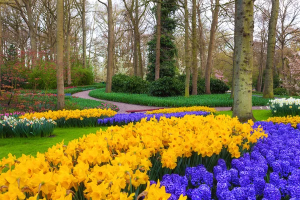 Güzel çiçek açan çiçekler ünlü Keukenhof PA ile manzara