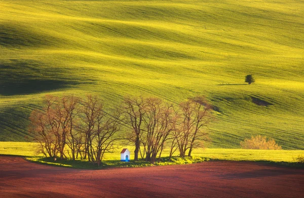 Пейзаж с капеллой, деревья на зеленом поле на закате — стоковое фото