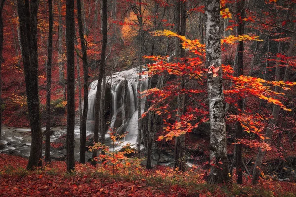 Silver Stream Waterfall