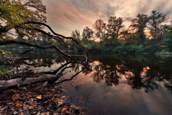 Khortitsa (Ukrayna sonbaharda) — Stok fotoğraf