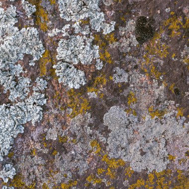 Doğal granit taş doku arka plan. Kaba ve paslı. Kapat