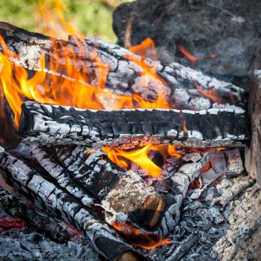 Bahar ormandaki şenlik ateşi. Yangın kömürleri