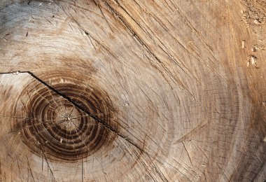 eski ahşap doku. arka panel tasarım