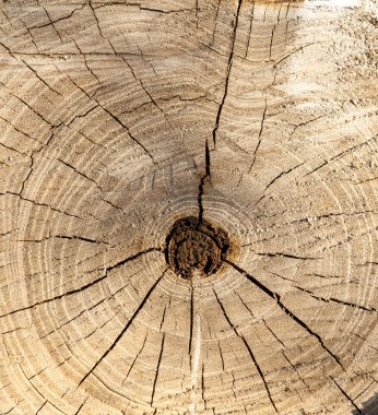 eski ahşap doku. arka panel tasarım