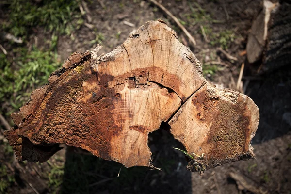 Παλιό ξύλο υφή. φόντο επιτροπές για σχεδιασμό — Φωτογραφία Αρχείου