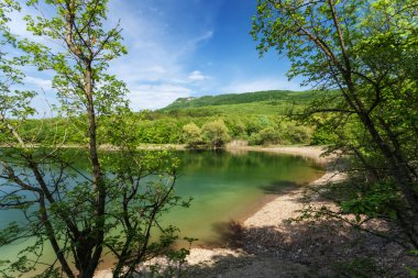 Göl ormanın içinde. Yaz aylarında güneşli bir gün. Kırım Dağları