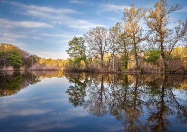 Gökyüzü yansıması ile ormandaki nehir üzerinde güzel gün batımı