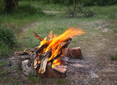 Bahar ormandaki şenlik ateşi. Yangın kömürleri