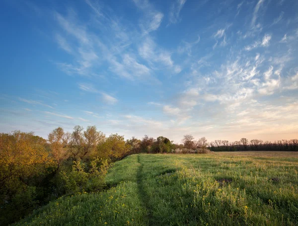 Un bellissimo tramonto. Paesaggio di primavera con trail, alberi, cielo e cl — Foto Stock