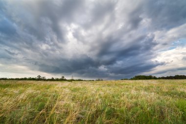 Beautiful cloudy sunset at the field. Summer landscape