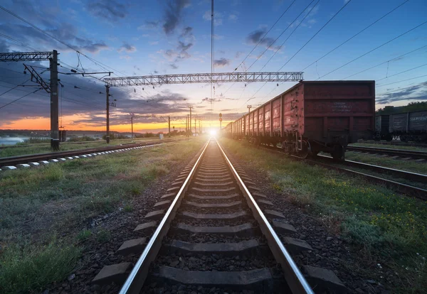Gün batımında kargo tren platformu. Demiryolu Ukrayna. Demiryolu sta