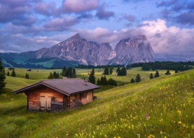 Ahşap bir odun yığınının yanında ahşap bir ev, yazın günbatımında Sassolungo 'ya giden yabani çiçeklerle dolu bir çayır. Dolomitler, İtalya. Alacakaranlıktaki dağ vadisi manzarası