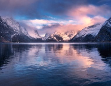 Renkli gündoğumu, Norveç 'in Lofoten kentindeki fiyordun sakin sularını yansıtan karlı dağları aydınlatır. Nefes kesici kış manzarası. Denizli dramatik manzara, kardaki kayalar, bulutlu pembe gökyüzü.