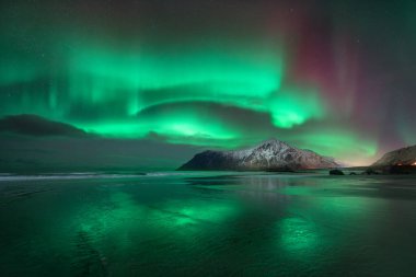 Norveç 'in Lofoten adalarındaki kuzey ışıkları ve plajları. Güzel Aurora borealis. Kutup ışıklarıyla yıldızlı gökyüzü. Aurora 'lı kış manzarası, sudaki gökyüzü yansıması, karlı dağlar.