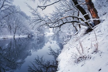 Kış manzara nehir orman ile