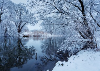 Kış manzara nehir orman ile