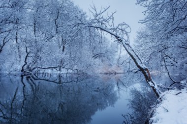 Kış manzara nehir orman ile