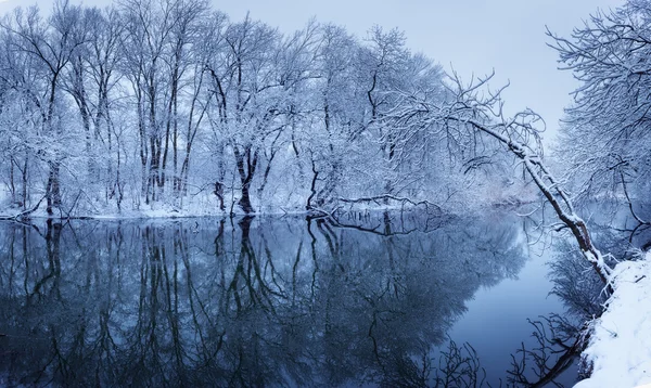 Kış manzara nehir orman ile