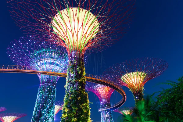 Super Tree Grove à noite, Jardins By The Bay, Singapura — Fotografia de Stock
