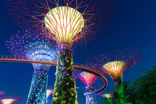 Superbaumhain in der Nacht, Gärten an der Bucht, Singapore — Stockfoto