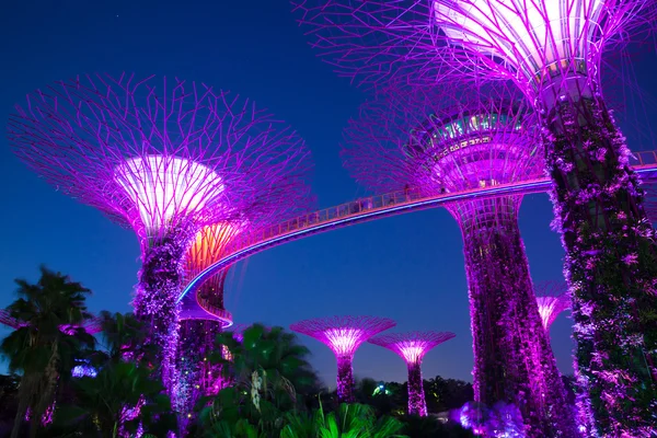 Super Tree Grove à noite, Jardins By The Bay, Singapura — Fotografia de Stock