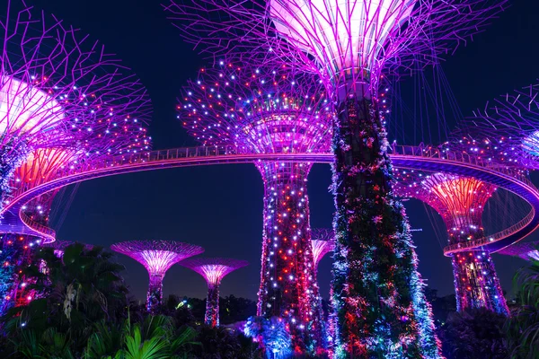 Super Tree Grove à noite, Jardins By The Bay, Singapura — Fotografia de Stock