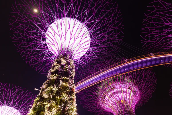 Super Tree Grove gece, bahçeleri tarafından Bay, Singapur