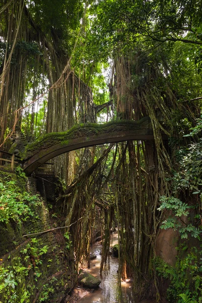 Dragon Bridge i heliga Monkey Forest Sanctuary, Ubud, Bali — Stockfoto