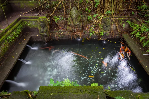 Zwemmen in zwembad de de Heilige voorjaar tempel, Ubud, Bali — Stockfoto