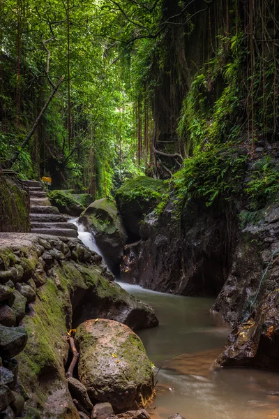 Santuario della foresta delle scimmie, Ubud, Bali — Foto Stock