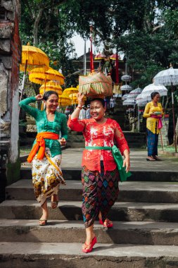 Bali dili geleneksel giysiler kafasına, Ubud teklifleri ile tören kutusunu taşıyan kadınlarda