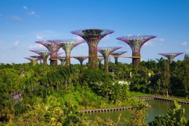 Supertree Grove Gardens tarafından Bay, şarkı, gündüz görünümü