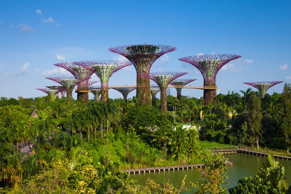 Supertree Grove Gardens tarafından Bay, şarkı, gündüz görünümü