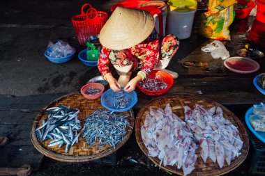 Kadın sabah Pazar, Vietnam, balık satıyor