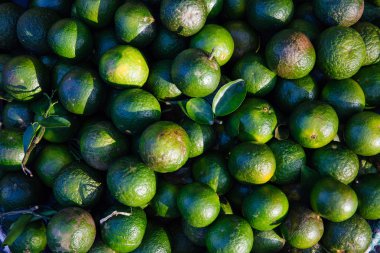 Semt pazarı, taze limes