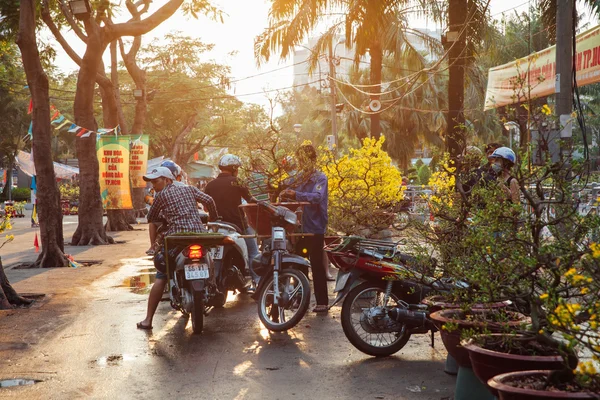 TET wakacje drzew na rynku w Ho Chi Minh, Wietnam — Zdjęcie stockowe