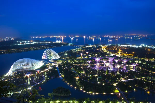 Super trees in Gardens By The Bay park, Singapore — Stock Photo, Image