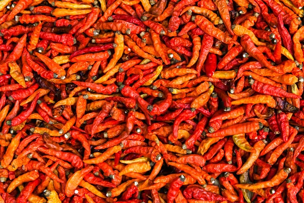 Red Chili Pepper — Stock Photo, Image