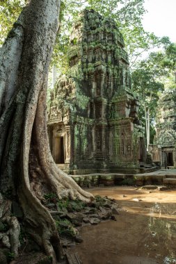 Ta balo Tapınağı, Angkor Historical Park, Kamboçya kalıntıları