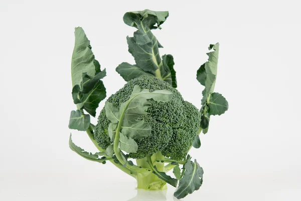 Broccoli freschi — Foto Stock