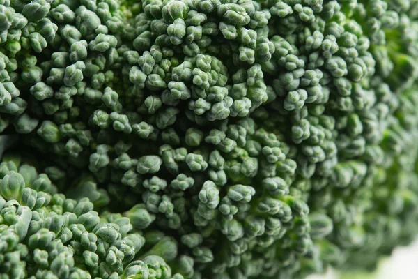 Broccoli närbild — Stockfoto