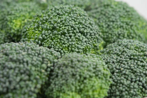 Broccoli närbild — Stockfoto