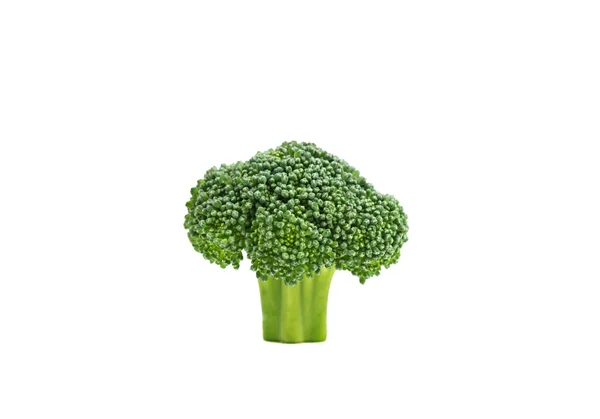 Färsk grön rå broccoli — Stockfoto