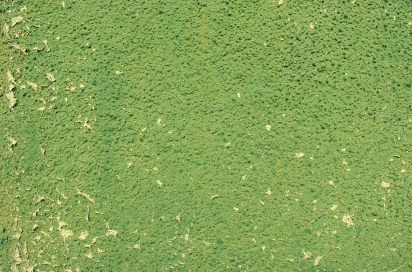 Old Green Stucco Wall Background Texture. — Stock Photo, Image