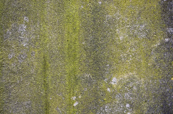 Old Mossy Concrete Wall Background Texture. — Stock Photo, Image
