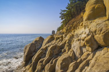 Karadeniz, kayalık plaj