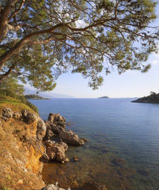 Türkiye, deniz, çam ve deniz