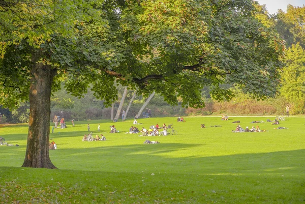 Köln, Almanya. Çimenlerin üzerinde kal